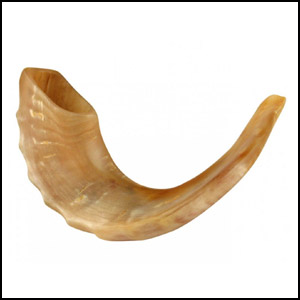 Read more about the article Best Jewish Shofar